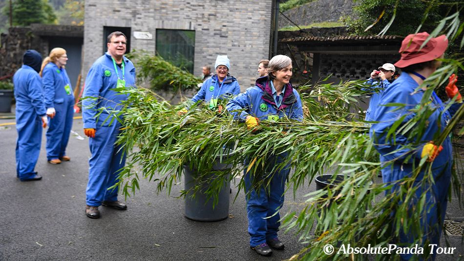 Dujiangyan Panda Volunteer