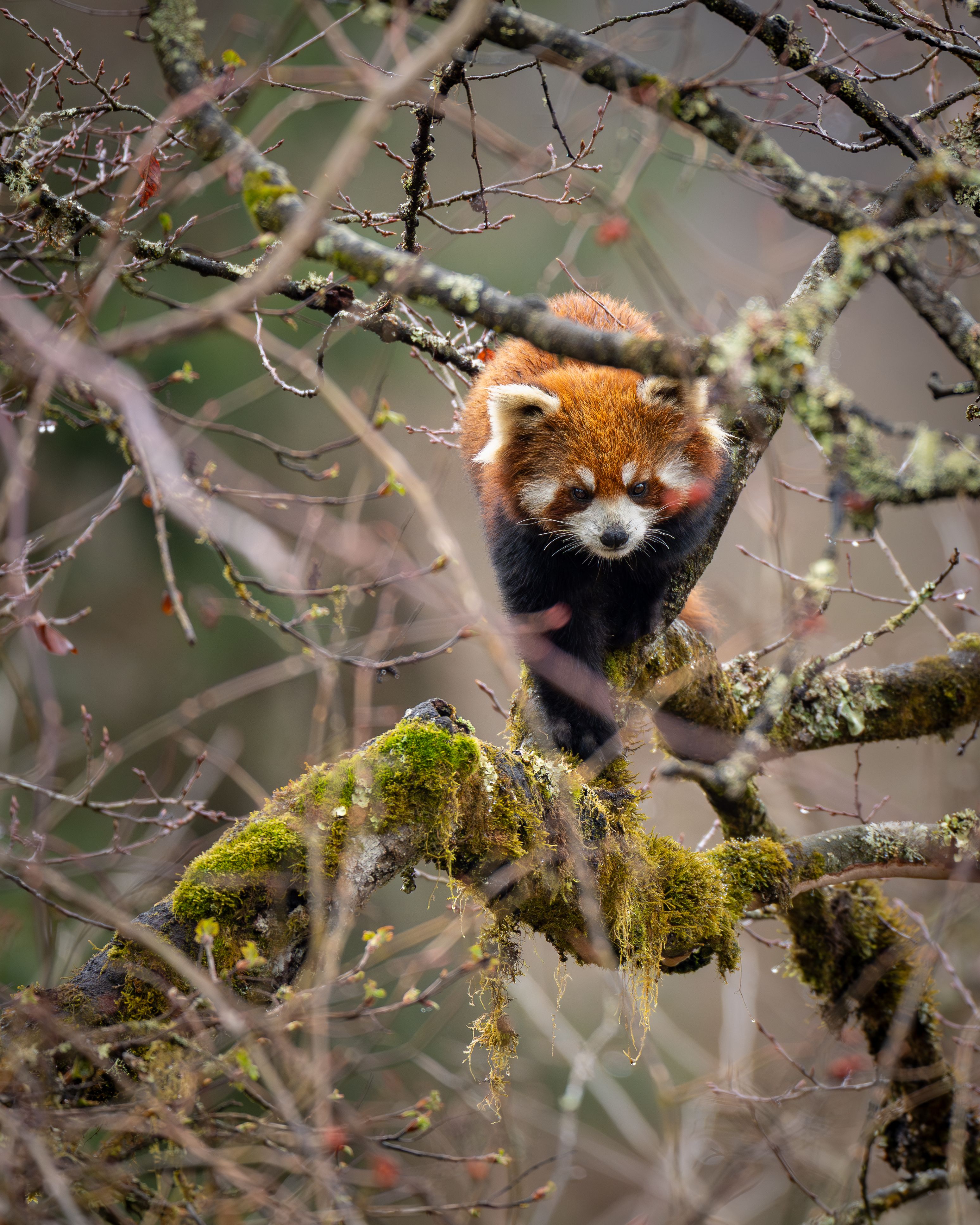 Labahe Nature Reserve