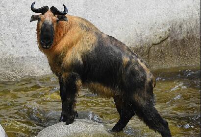 Tangjiahe Nature Reserve