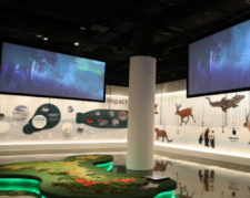 Chengdu Giant Panda Museum